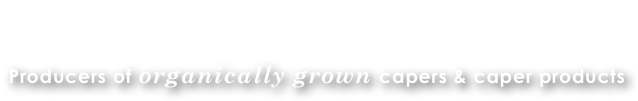 KOLOPHON Capers
Producers of organically grown capers & caper products  