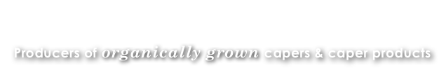 KOLOPHON Capers
Producers of organically grown capers & caper products